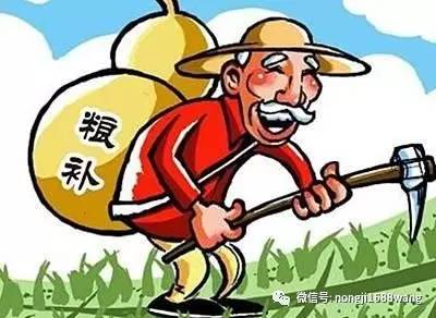 最新粮食补贴政策解读，2017年政策亮点解析