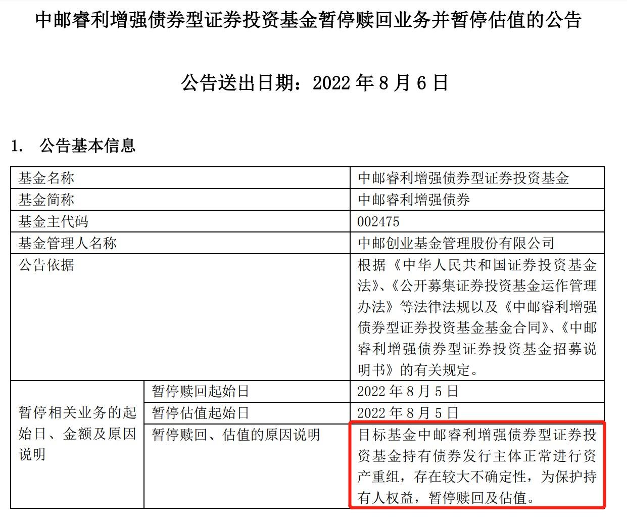 中邮成长最新净值深度解析与未来前景展望