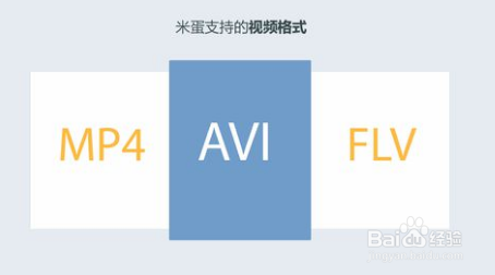 米蛋下载站，数字世界的资源宝库探索之旅