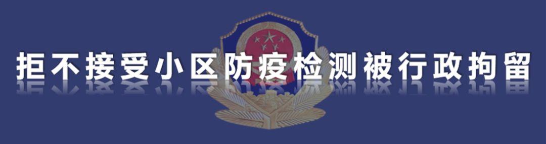 双阳麻将，经典魅力，轻松下载开启麻将之旅