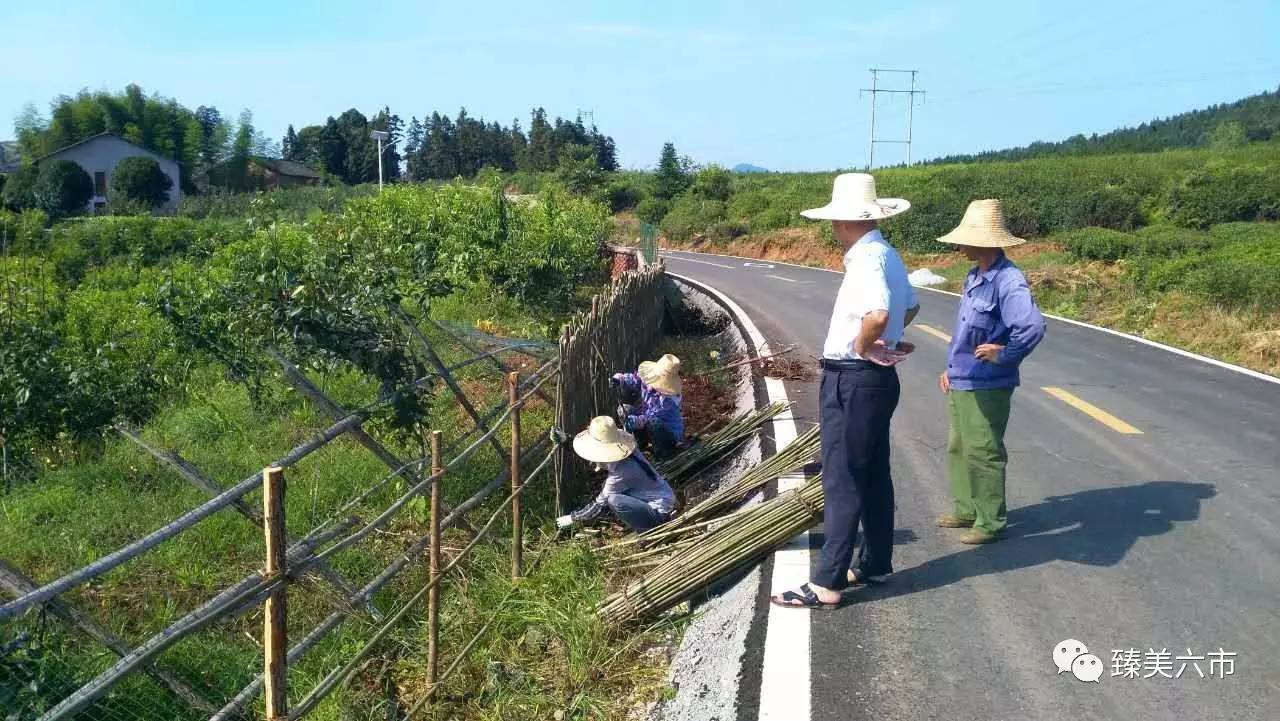 关市乡最新交通动态报道