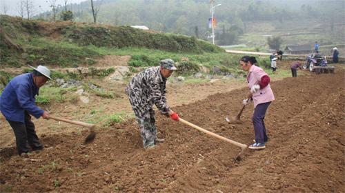 靛水街道最新动态报道