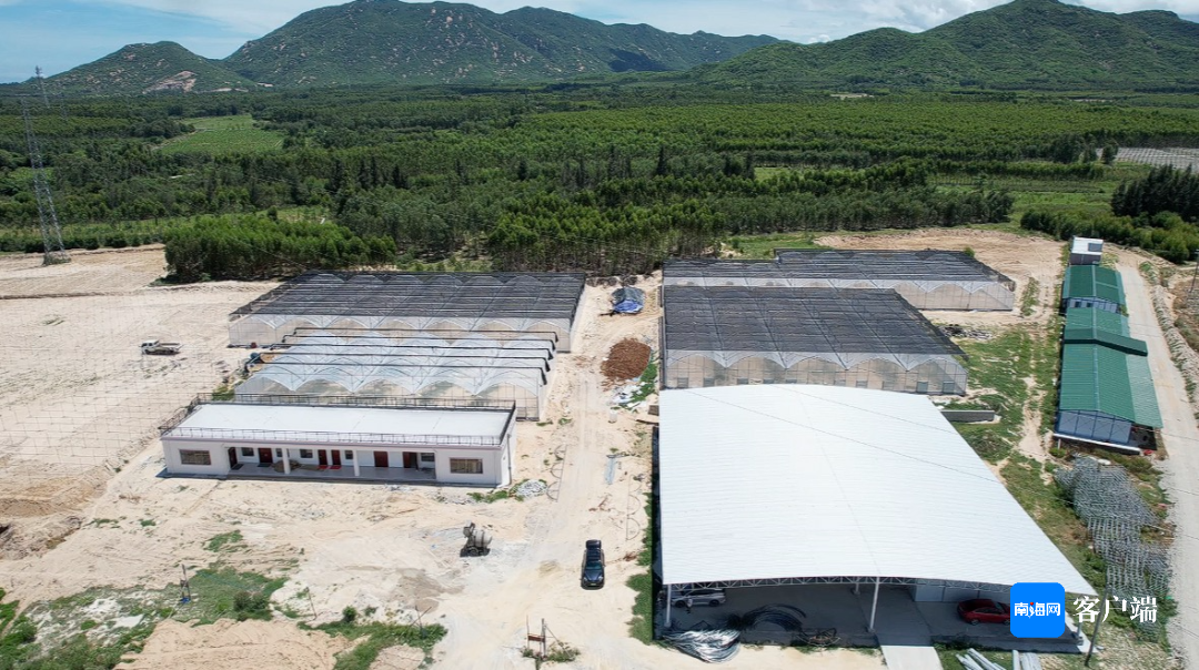 沟底里村委会新项目，重塑乡村，迈向繁荣