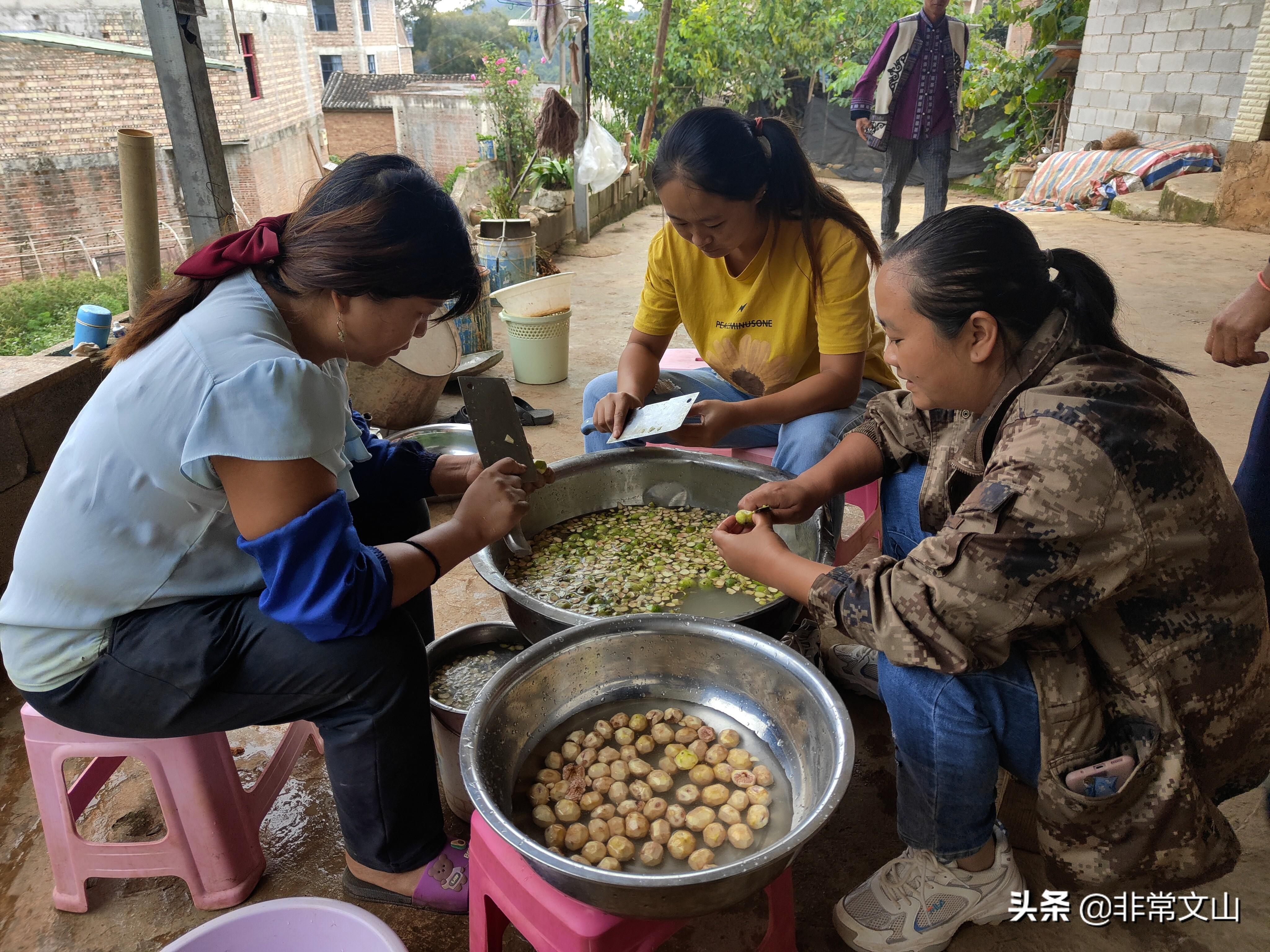 喜古乡新项目启动，乡村振兴新引擎