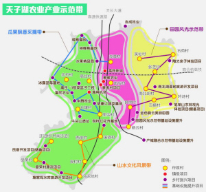 高皇村最新发展规划，塑造乡村新面貌，推动可持续发展