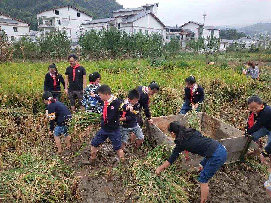 桐梓县小学未来发展规划展望