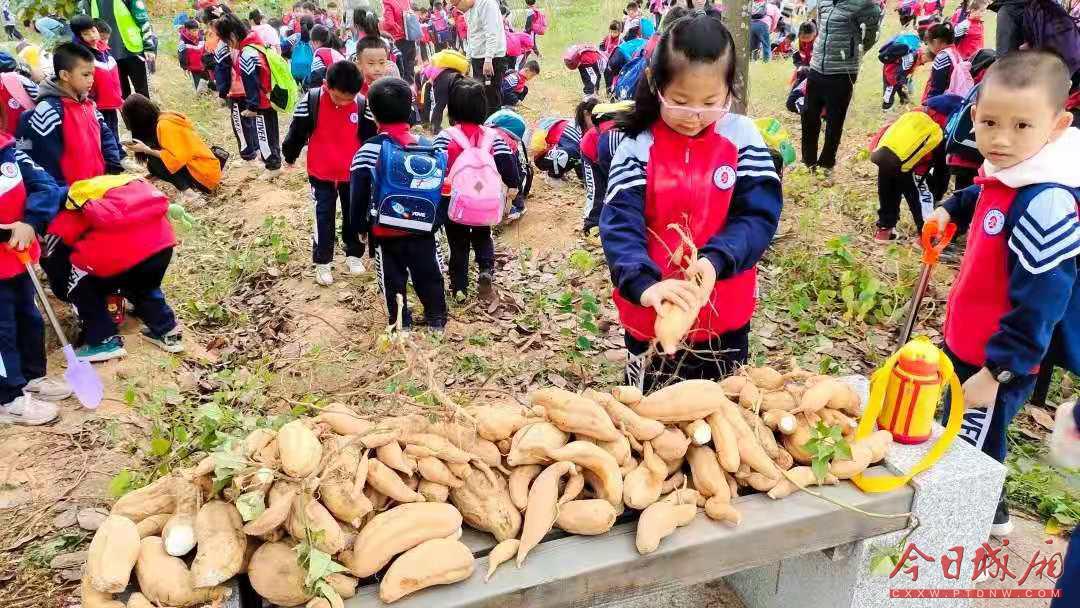 城厢区小学未来教育蓝图发展规划揭秘，塑造卓越教育新篇章