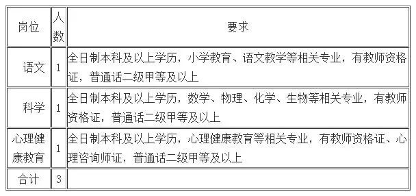 巩义市小学最新招聘概览