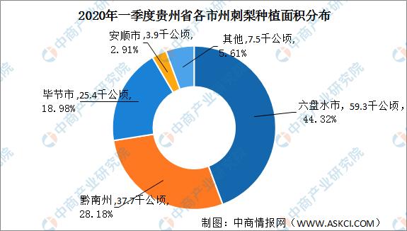 毕节市统计局最新新闻揭秘，数据背后的故事浮出水面