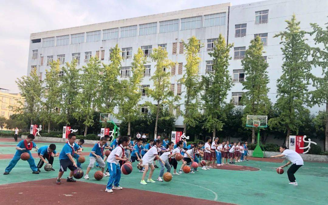 通川区小学新项目，开启现代教育新篇章探索