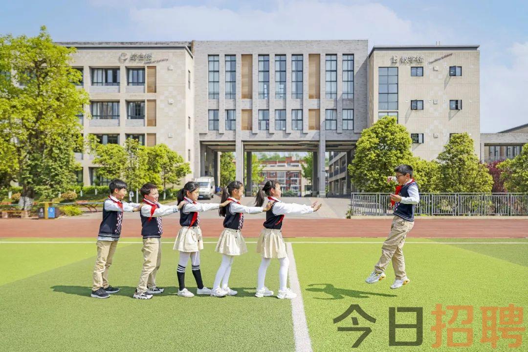 点军区小学最新招聘公告概览