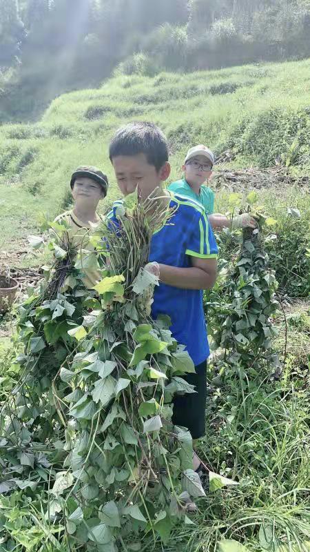 龙凤区文化广电体育和旅游局最新动态速递