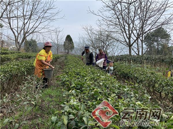 凤庆县防疫检疫站最新招聘概览