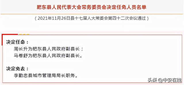 肥东县审计局人事任命启动，新篇章助力审计事业蓬勃发展