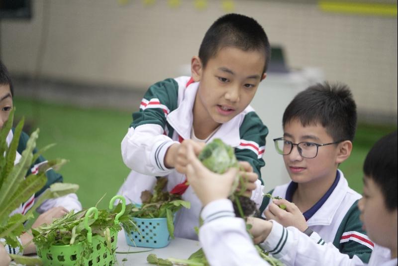 天台县小学最新新闻