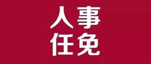 无为县审计局人事任命重塑未来审计格局