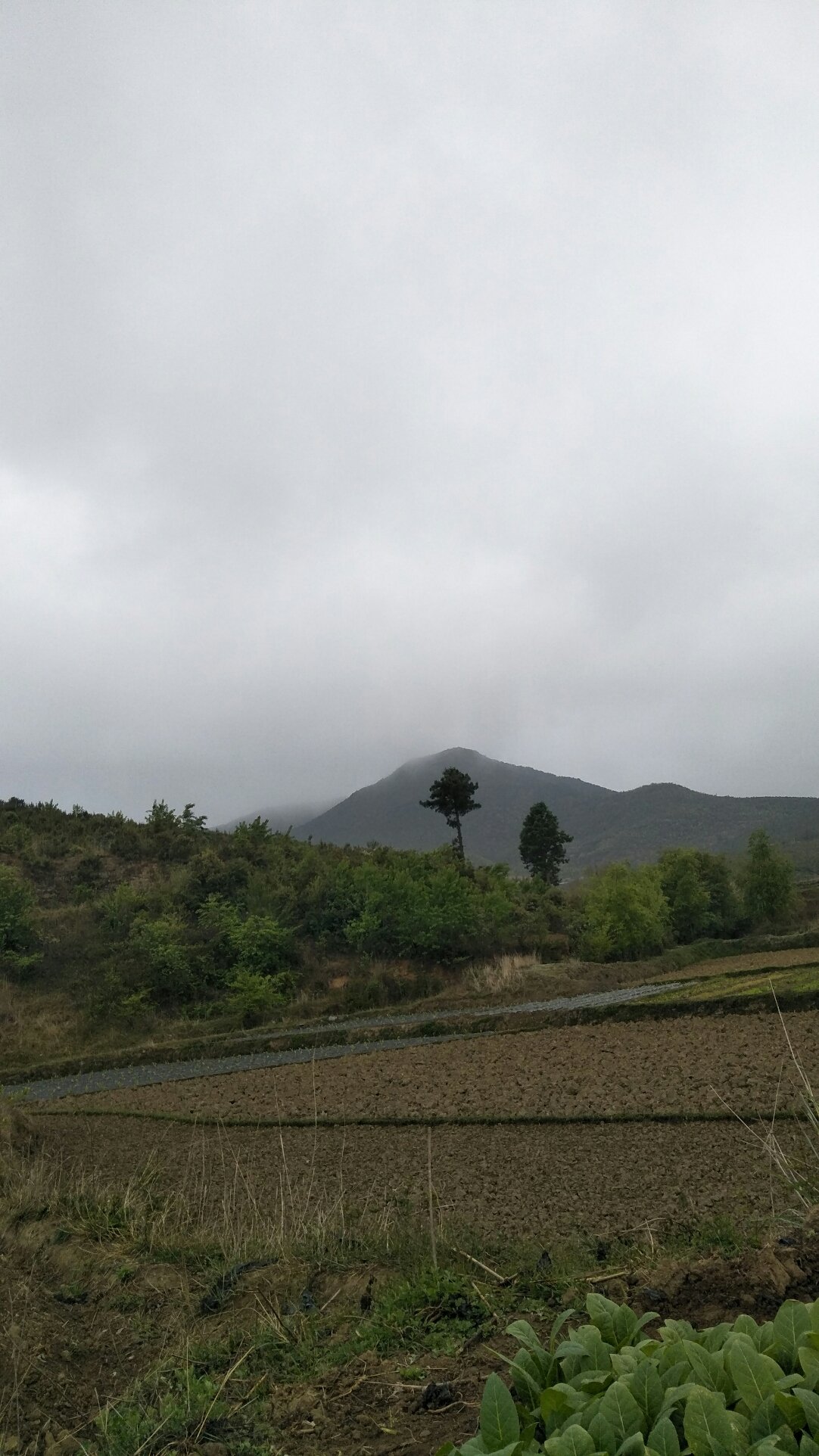 下村乡天气预报更新通知