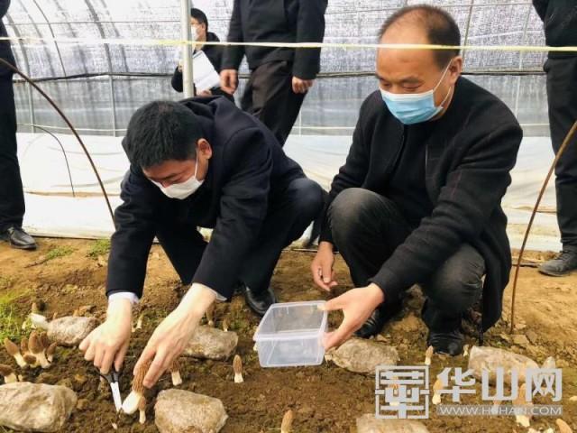 金堆村乡村振兴与社区发展新篇章揭晓，最新新闻报道汇总