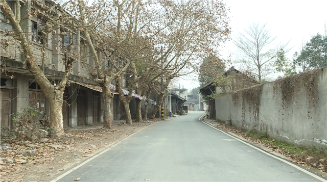 天星村交通状况升级，村民出行更加便捷的新消息报道