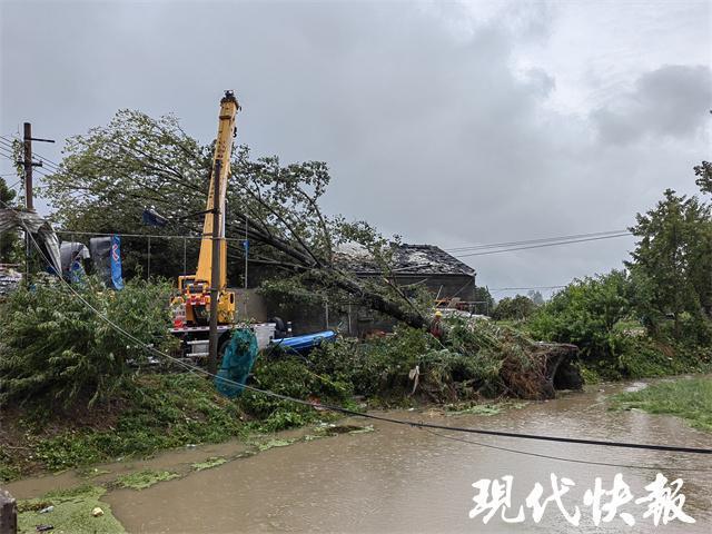 老莱镇宽余林场天气预报更新通知