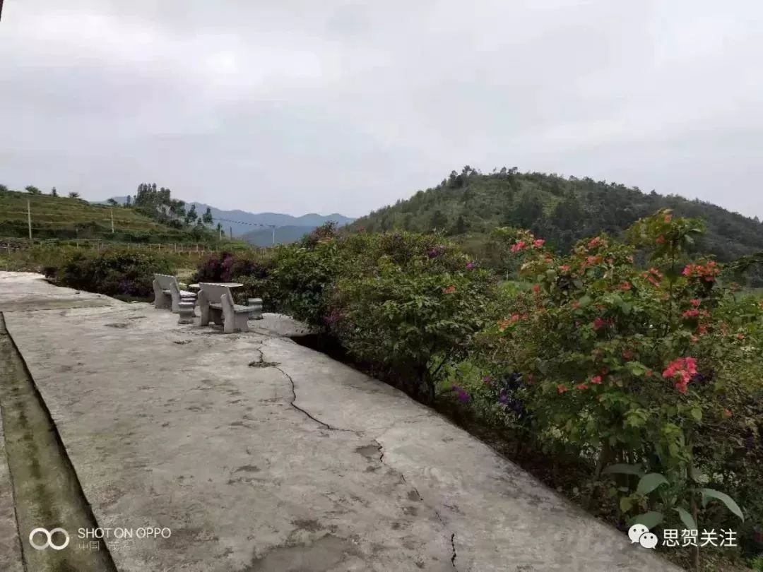 思贺镇未来繁荣蓝图，最新发展规划揭秘